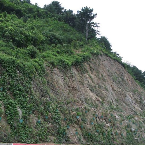 临县GPS2主动防护网