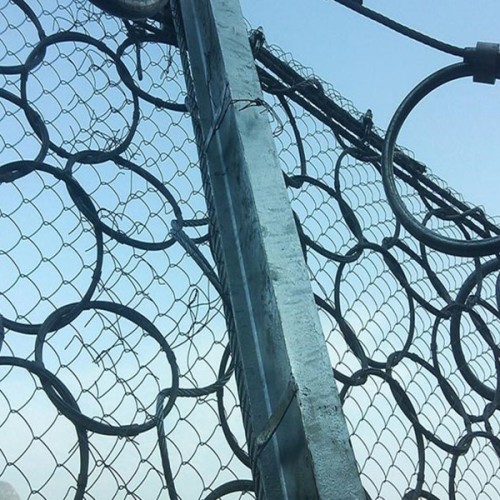 昔阳RXI-150被动防护网