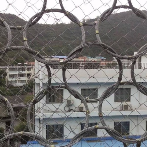临县RXI-100被动防护网