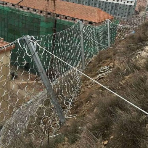临县RXI-100被动防护网