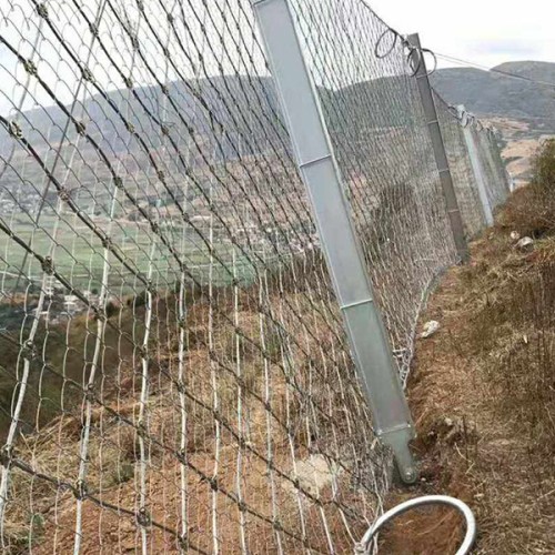 临县RX-025型被动防护网